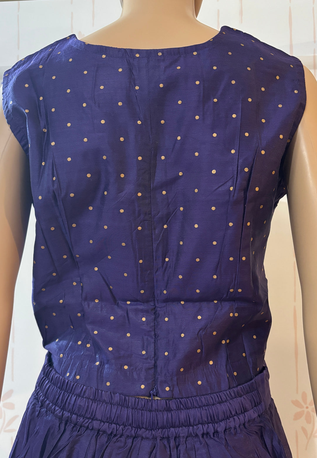 Violet Mangalgiri Crop top Skirt Set