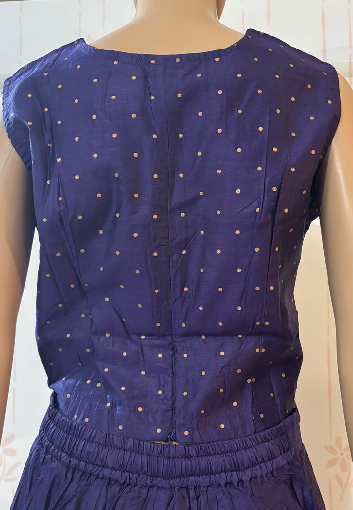 Violet Mangalgiri Crop top Skirt Set