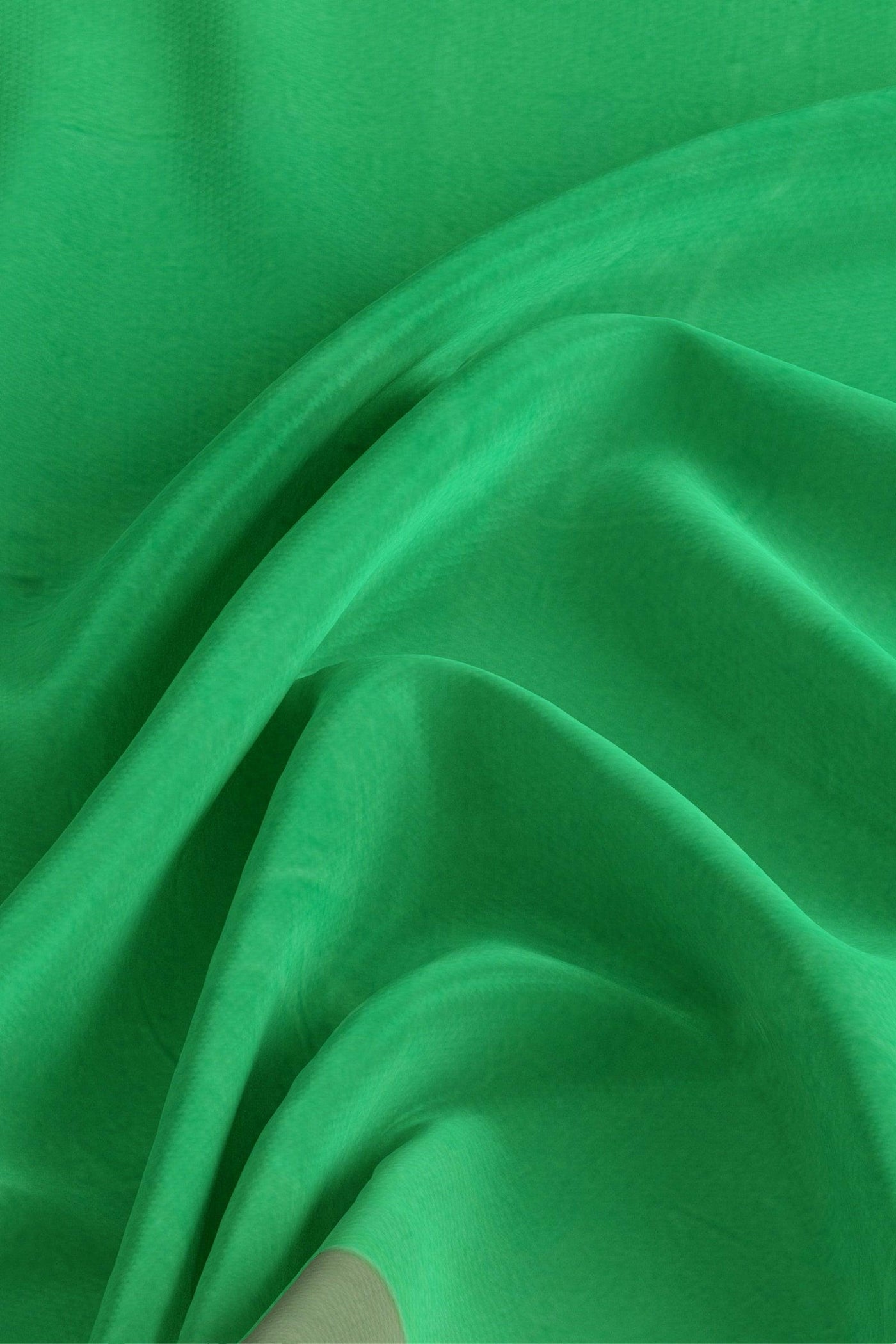 Parrot green and Rani pink Silk cotton Saree - Mystic Dhaaga